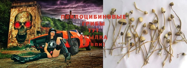 spice Балахна