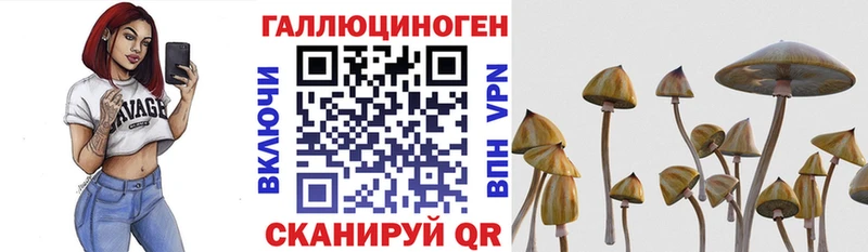 Псилоцибиновые грибы MAGIC MUSHROOMS  как найти наркотики  Горячий Ключ 